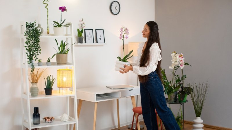 decoration tips decoradhouse from decoratoradvice